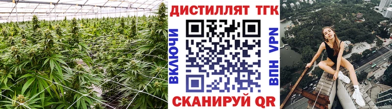 ТГК концентрат  Купить закладки  Коряжма 