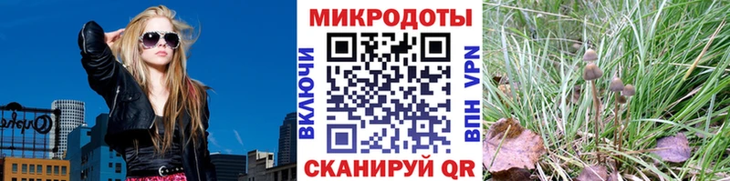 Псилоцибиновые грибы Cubensis  Купить закладки  Коряжма 